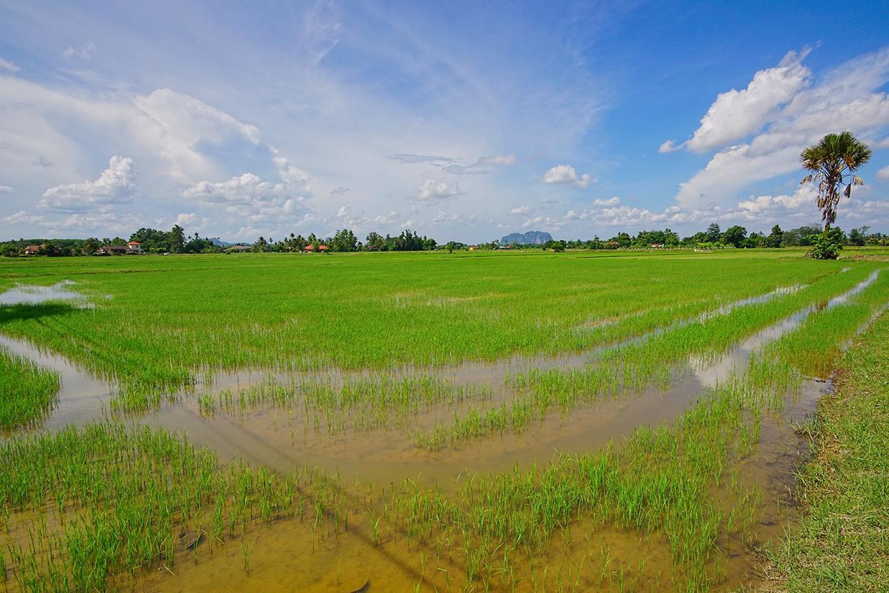 Abisabi Homestay Kangar Bagian luar foto