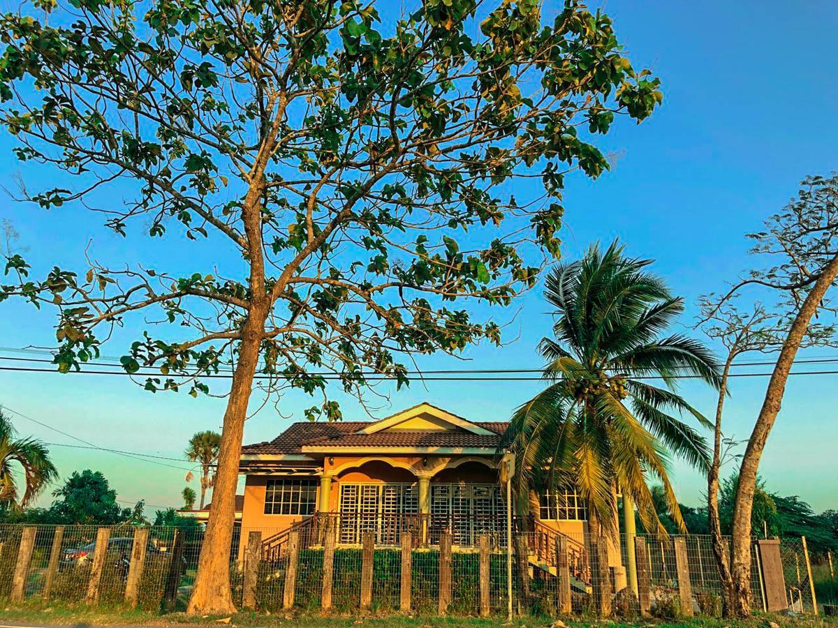 Abisabi Homestay Kangar Bagian luar foto